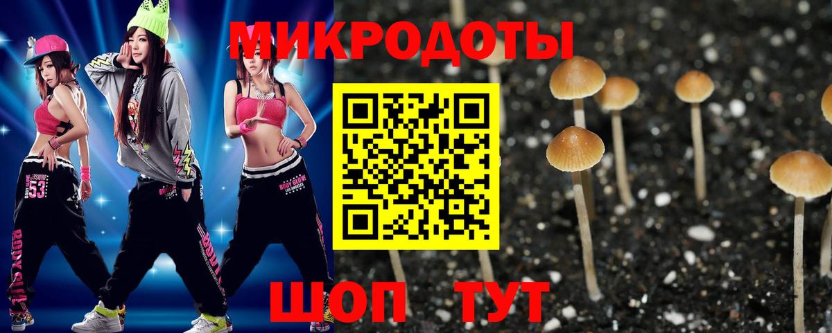 Галлюциногенные грибы MAGIC MUSHROOMS  Вход с VPN  Нефтекамск 